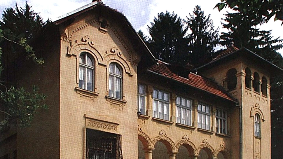 Castelul lui Octavian Goga de la Ciucea a fost câștigat definitiv în instanță de Consiliul Județean Cluj