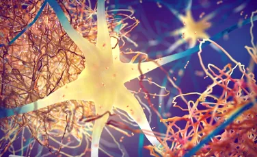 Un semnal ascuns în creier ar putea dezvălui boala Alzheimer cu ani înainte de debut