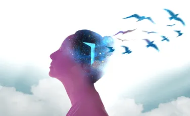 Fenomenul „365 de nasturi”: cum un comentariu pe TikTok a devenit filozofia anului 2026