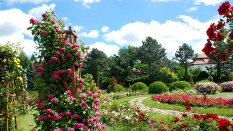 Prima grădină botanică din România