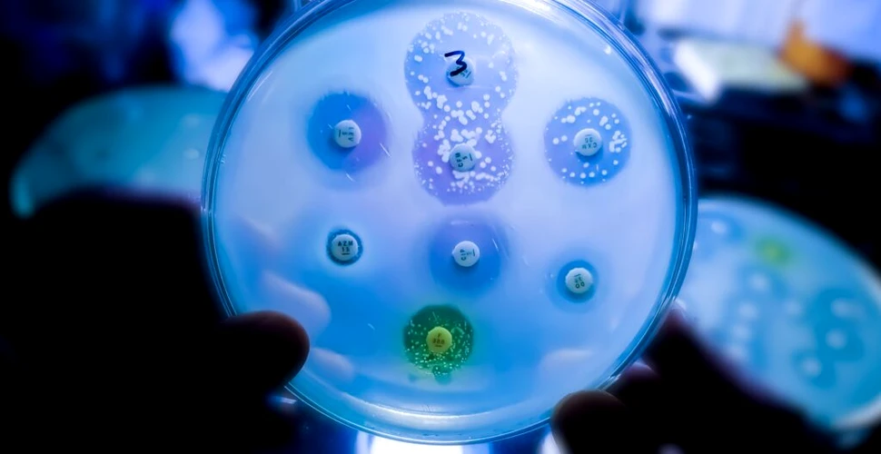 Cercetătorii au descoperit că microplasticele ar putea agrava rezistența la antibiotice
