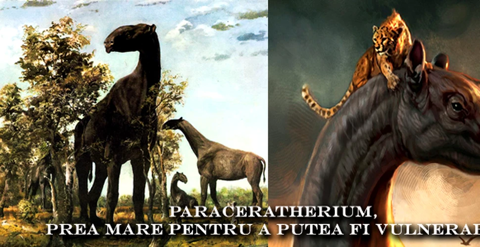 Paraceratherium – prea mare pentru a putea fi vulnerabil