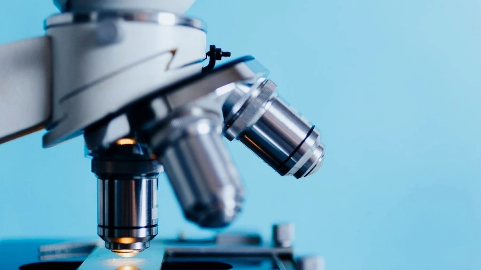 O biomolecuă nouă ajută regenerarea intestinelor