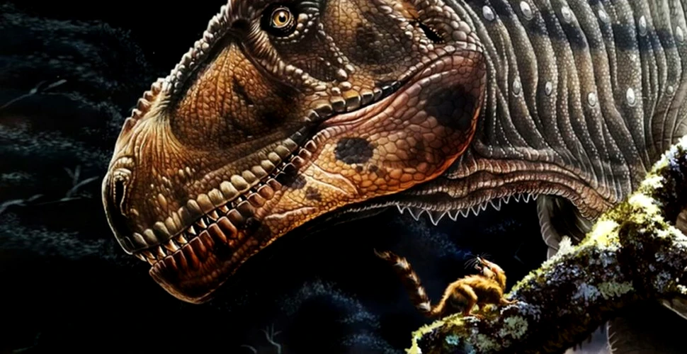 De ce avea T. Rex brațe mici? Descoperirea unui nou dinozaur gigantic ar putea desluși misterul