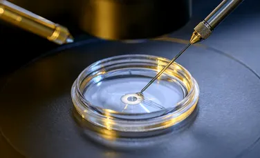 Procedurile de fertilizare in vitro, suspendate din cauza epidemiei de coronavirus
