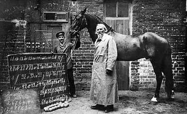 Hans cel Deștept: Povestea calului despre care cercetătorii au crezut că înțelege limba germană și matematica