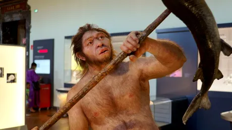 Putea Homo erectus să vorbească?