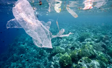 Plasticul de unică folosință, interzis în Nigeria. Cât de pregătită este țara africană?