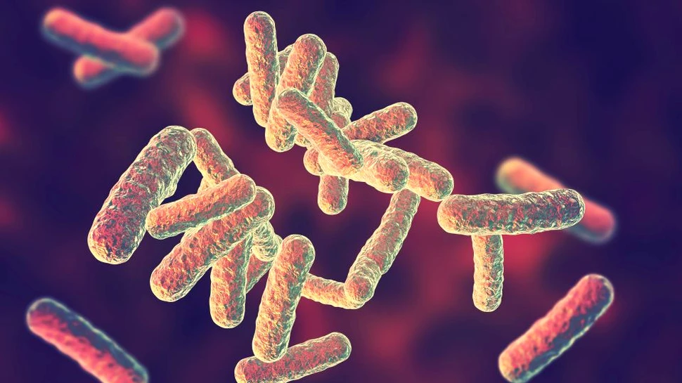O descoperire din interiorul unui vierme ar putea să fie o modalitate mai eficientă în lupta împotriva bacteriilor rezistente la antibiotice