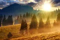 După caniculă, vine frigul în toată România! Anunțul făcut de ANM