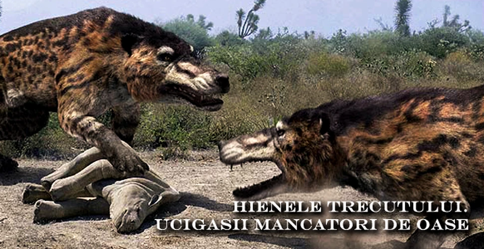 Hienele trecutului – ucigasii mancatori de oase