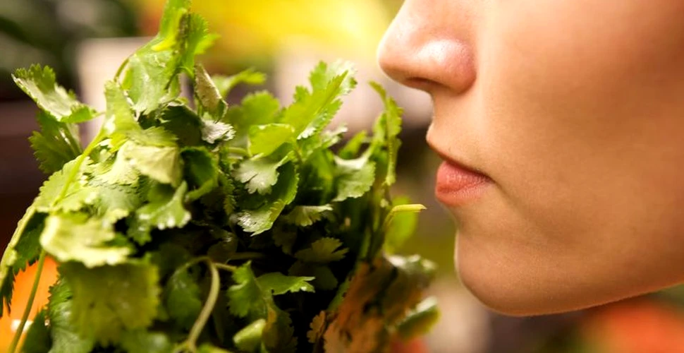 Îţi este greu să identifici anumite mirosuri? Acest simptom stă la baza unei afecţiuni grave
