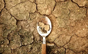 Schimbările climatice vor aduce foamete pe Pământ în următoarele decenii