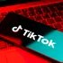 Ce rol joacă Casa Albă în vânzarea TikTok?