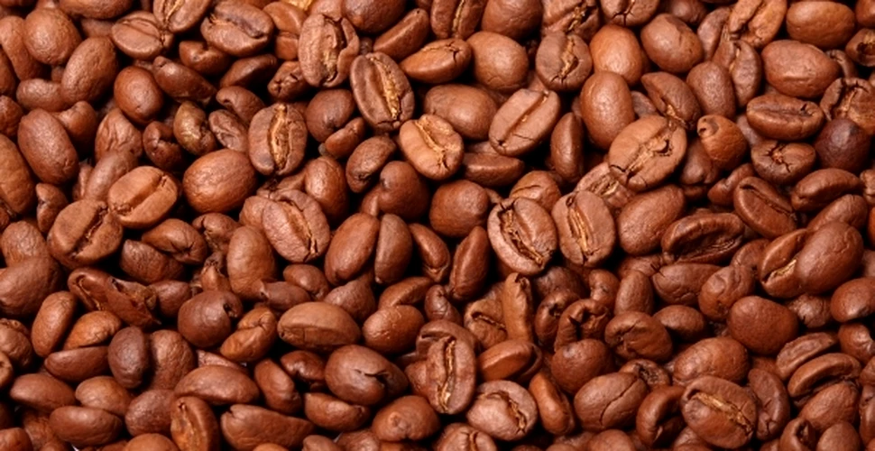 O cafea pe zi reduce riscul de atac cerebral, în cazul femeilor
