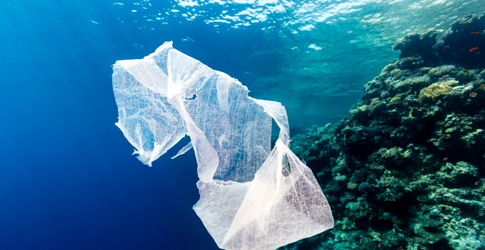 Mister: unde dispar uriaşele „insule” de plastic din ocean?