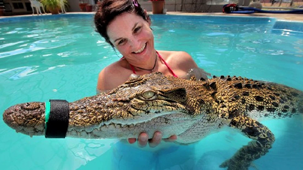 Ai curaj? Inoata alaturi de crocodili!