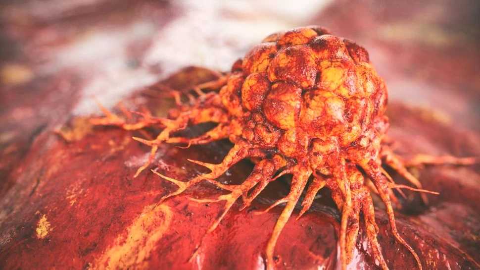 Anumite produse din plante folosite de bolnavii de cancer le pot face mai mult rău decât bine