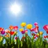 Meteorologii anunță că va fi vreme frumoasă în ultima lună de primăvară