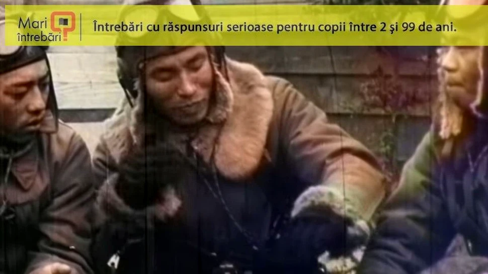 De unde provine cuvântul ”kamikaze”?