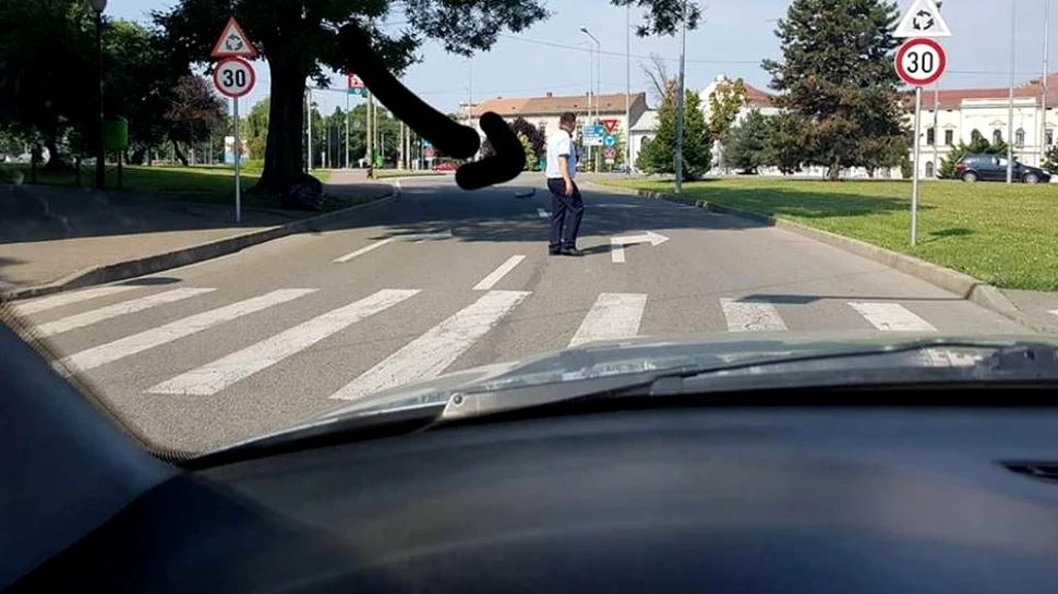 Un poliţist din Oradea a oprit traficul pentru a permite traversarea străzii de nişte boboci de raţă