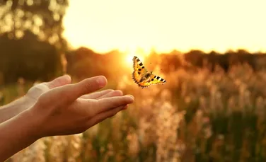 De ce căutarea obsesivă a fericirii ne face, paradoxal, mai nefericiți