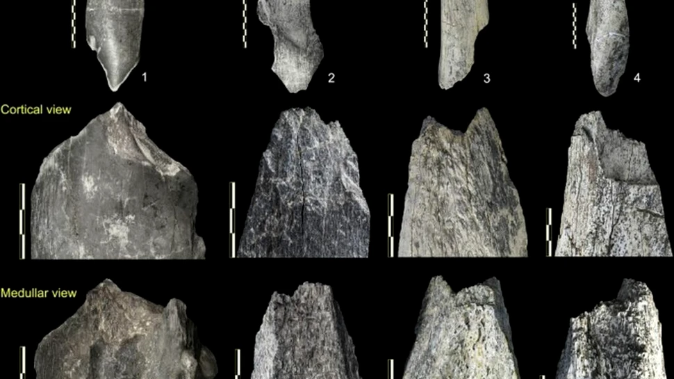 Au fost găsite cele mai vechi unelte create vreodată de mâna omului