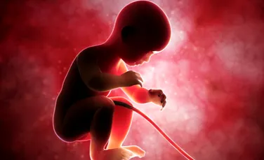 O nouă descoperire dă peste cap o teorie centrală care explica defectele la naştere