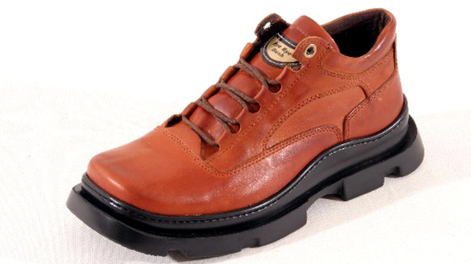 Pantofii “Adio, Bush!” se vand in draci