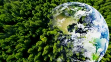Predicțiile care au anticipat încălzirea globală: moștenirea lui Syukuro Manabe