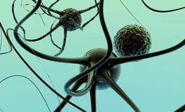 Primul pas spre transplantul de ţesut nervos: a fost reuşită transformarea de celule de piele în neuroni!