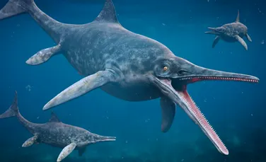 O fosilă unică, veche de 190 de milioane de ani, rescrie istoria unei specii de dinozaur