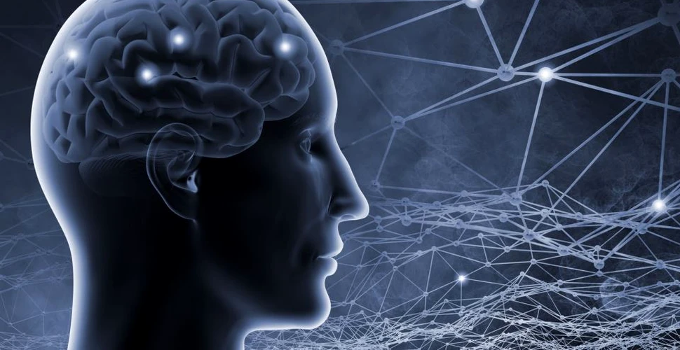 Au fost descoperite primele dovezi ale existenţei unui sistem de ”curăţare” a creierului