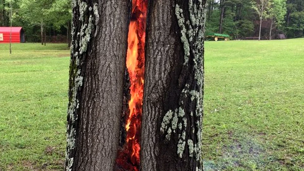 Această imagine a stârnit imaginaţia fanilor filmului ,,Stăpânul Inelelor”. Cum poate fi explicat fenomenul?