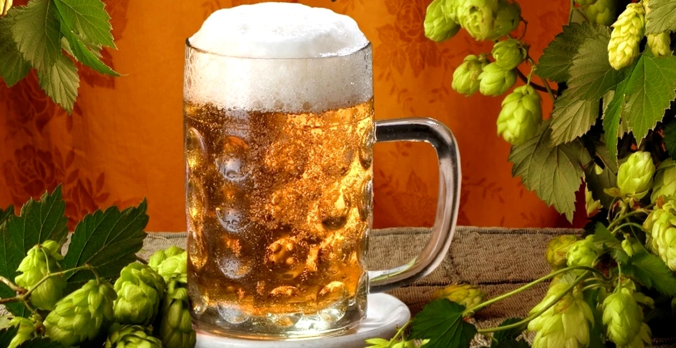 Ce efect are berea consumată moderat?