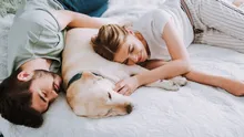 Bacteriile rezistente la medicamente se transmit între animalele de companie și oameni, avertizează cercetătorii
