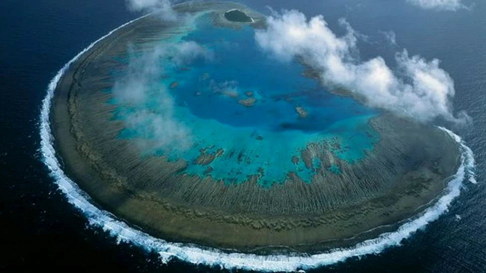 Declinul Marii Bariere de Corali este dramatic. ”Nu a mai rămas nimic care să refacă reciful”