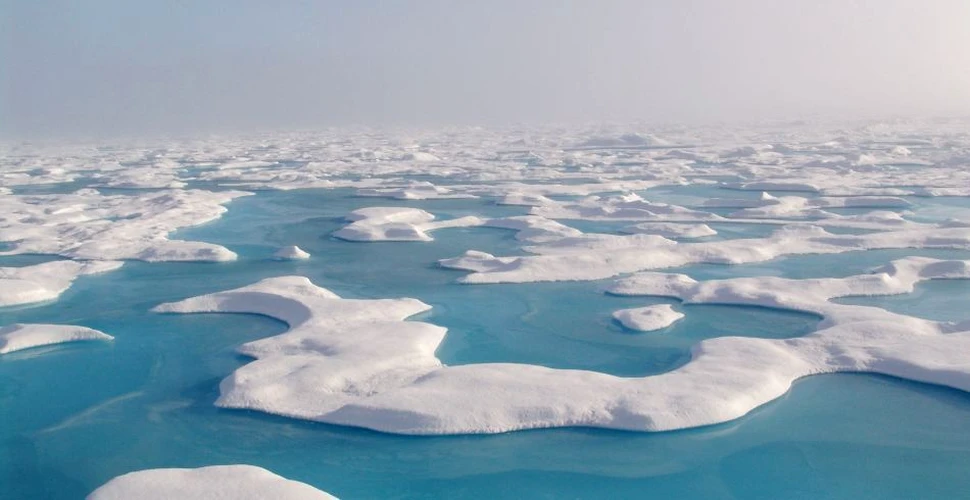 Oamenii de ştiinţă au făcut o descoperire uimitoare în Arctica