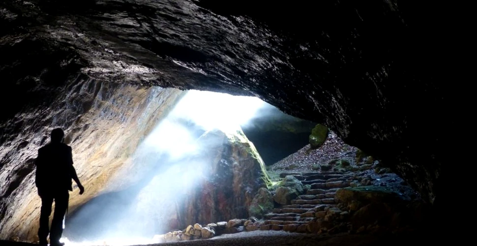 O peșteră din Germania, care ar fi conținut „oase de inorog”, găzduiește de fapt o comoară extrem de rară