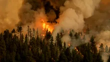 Îmbunătățirea calității aerului duce la mai multe incendii forestiere