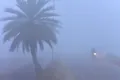 Ceața groasă din capitala Indiei a anulat sute de zboruri și zeci de curse cu trenul