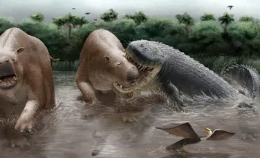 Acești crocodilienii uriași dominau lanțul trofic în America de Sud din Miocen