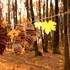 Toamnă cu temperaturi de vară. Prognoza meteo pentru următoarele săptămâni