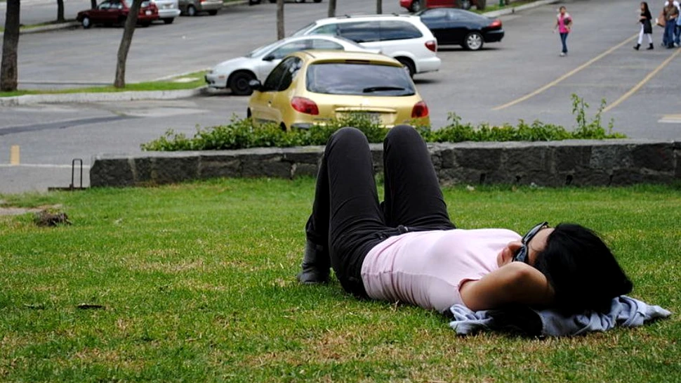 Ar putea fi reconstituite visele?