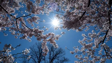 Meteorologii au anunțat cum va fi vremea de 1 Mai