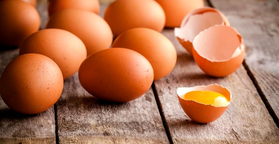 Legislaţia din Uniunea Europeană ia măsuri în cazul ouălor infestate