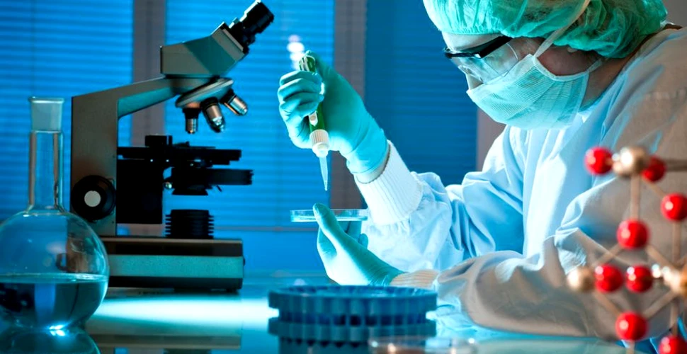 Uniunea Europeană va permite obţinerea patentelor pentru anumite cercetări cu celule suşă
