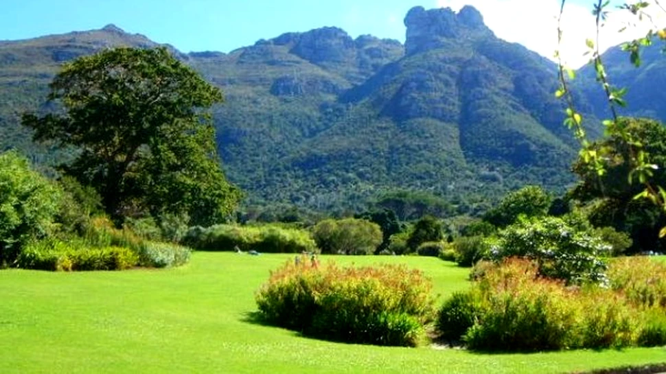 Padurile naturale- solutia impotriva schimbarii climatice