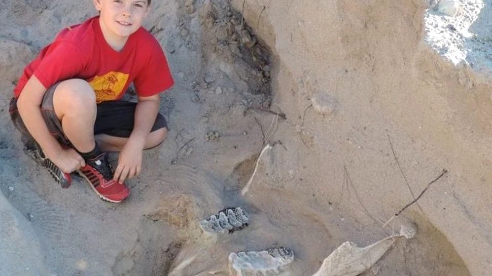 Un băiat a făcut o descoperire REMARCABILĂ în New Mexico. Are o vechime de peste 1 milion de ani
