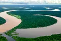 Microbi unici descoperiți în pădurea Amazoniană ar putea influența schimbările climatice
